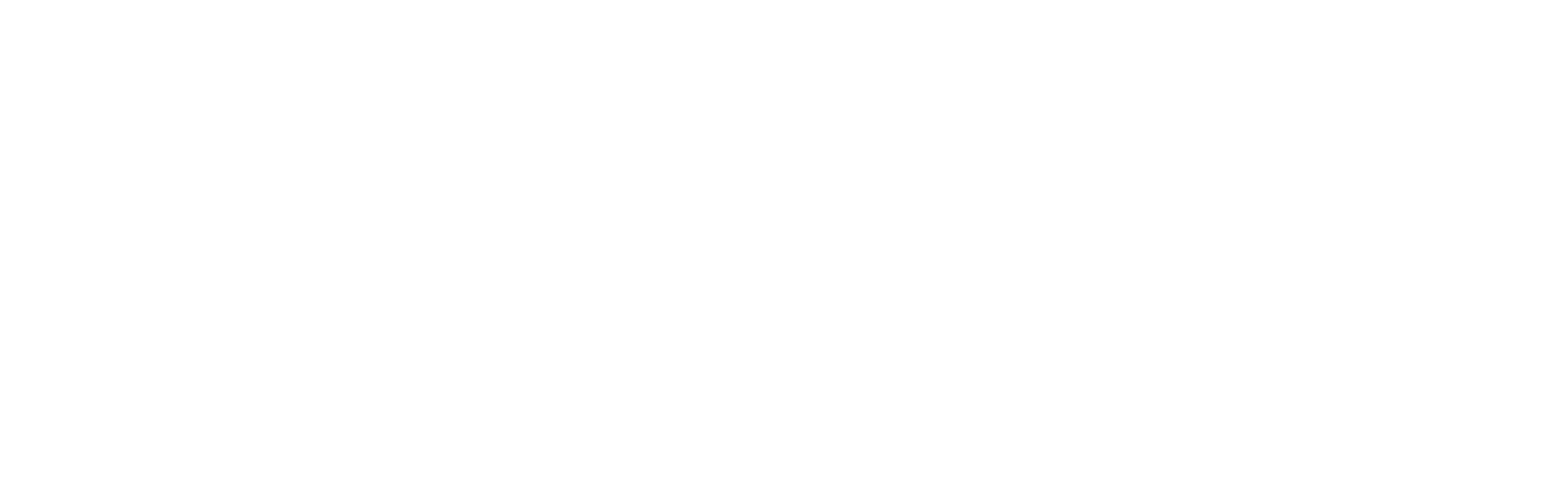 Novus IT